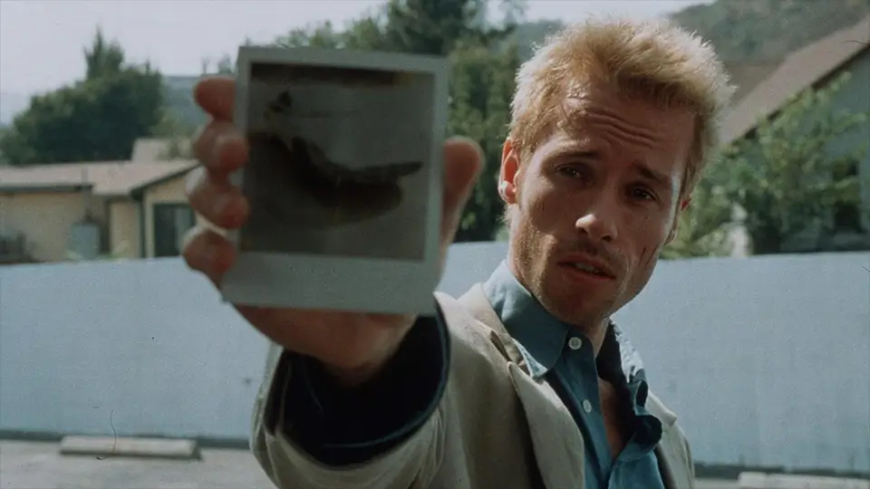The 10 Best Revenge Movies